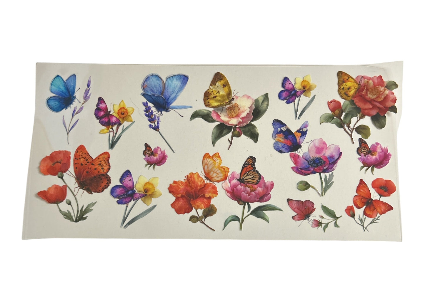 Decorative cup wrap with colorful butterflies and flowers on a clear background