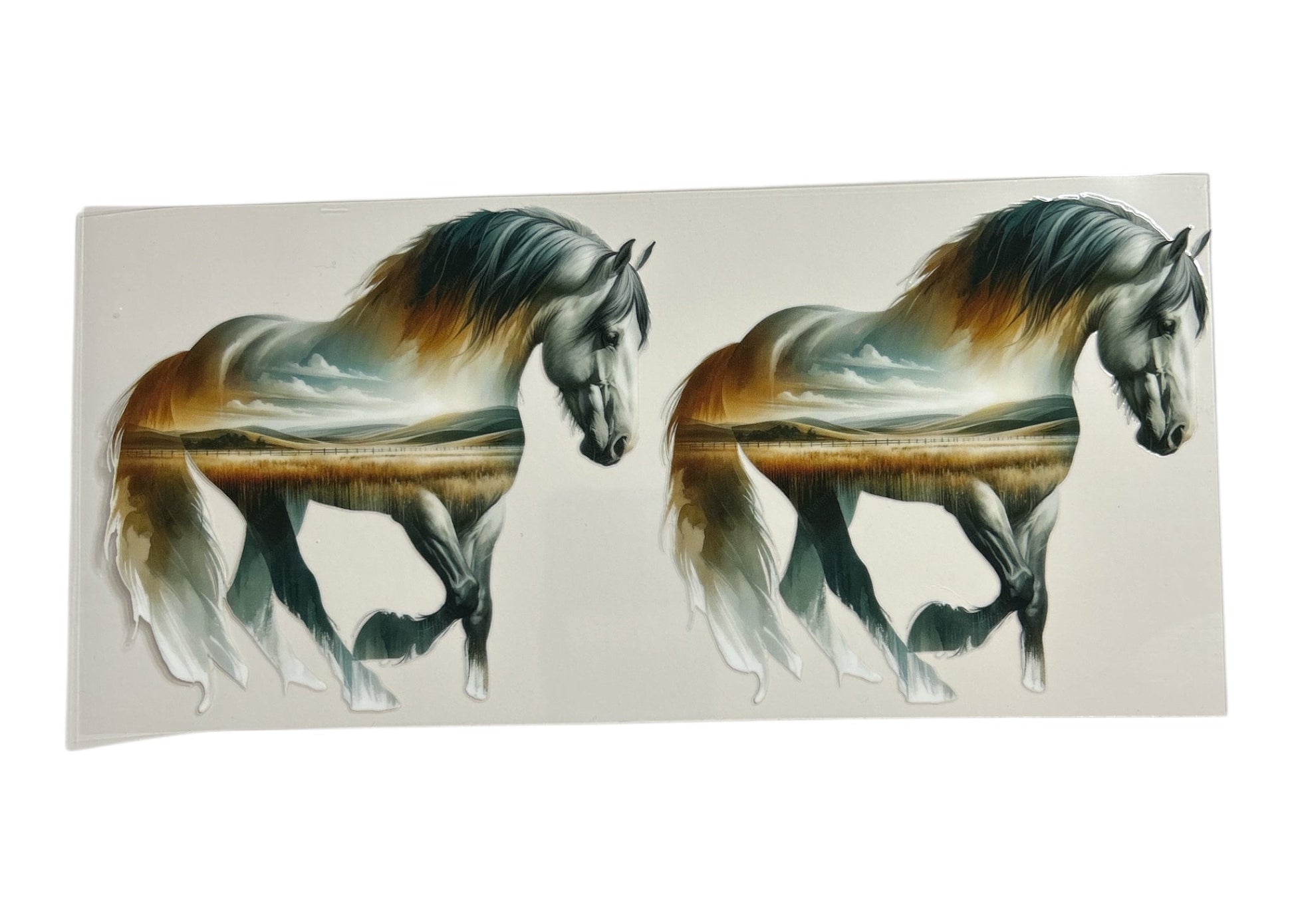 Two horses walking side by side on a reflective surface with a white background