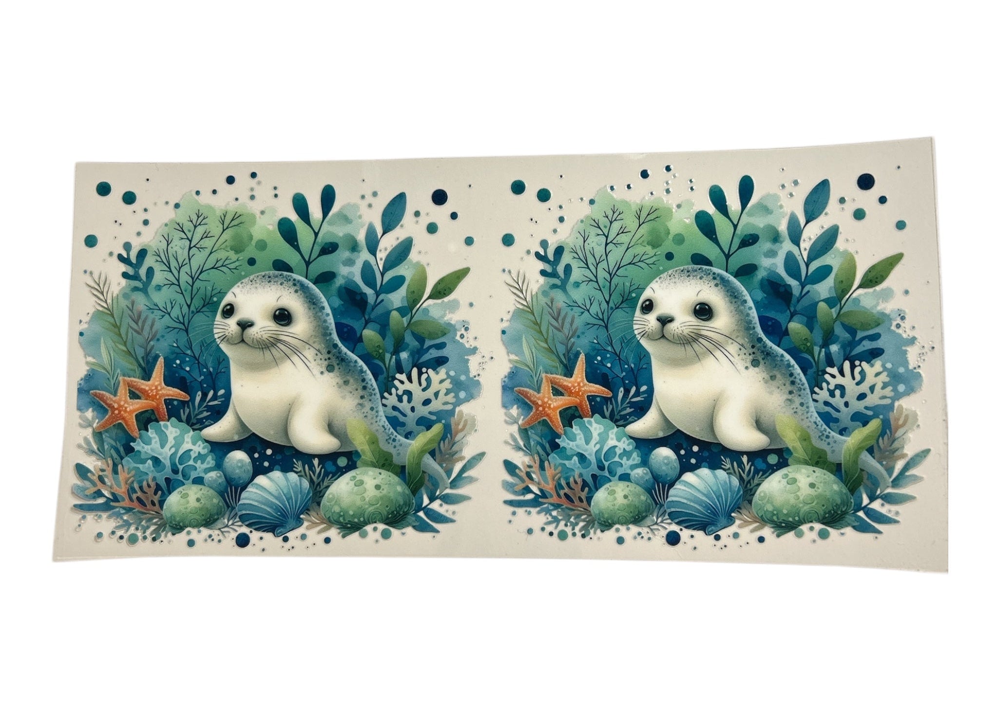 Two illustrations of seals surrounded by sea creatures on a decorative card.