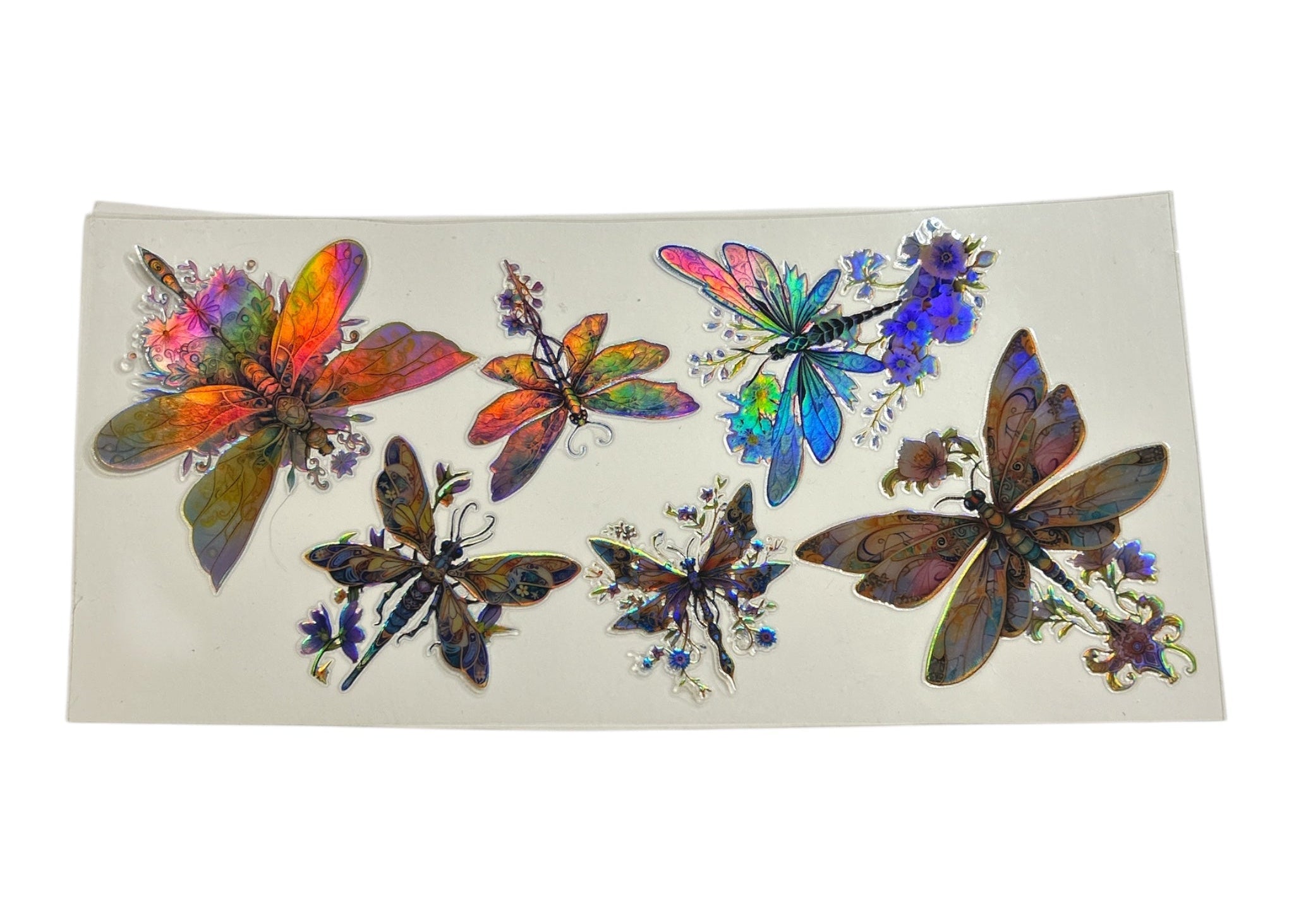 Colorful holographic dragonfly designs on a clear decal