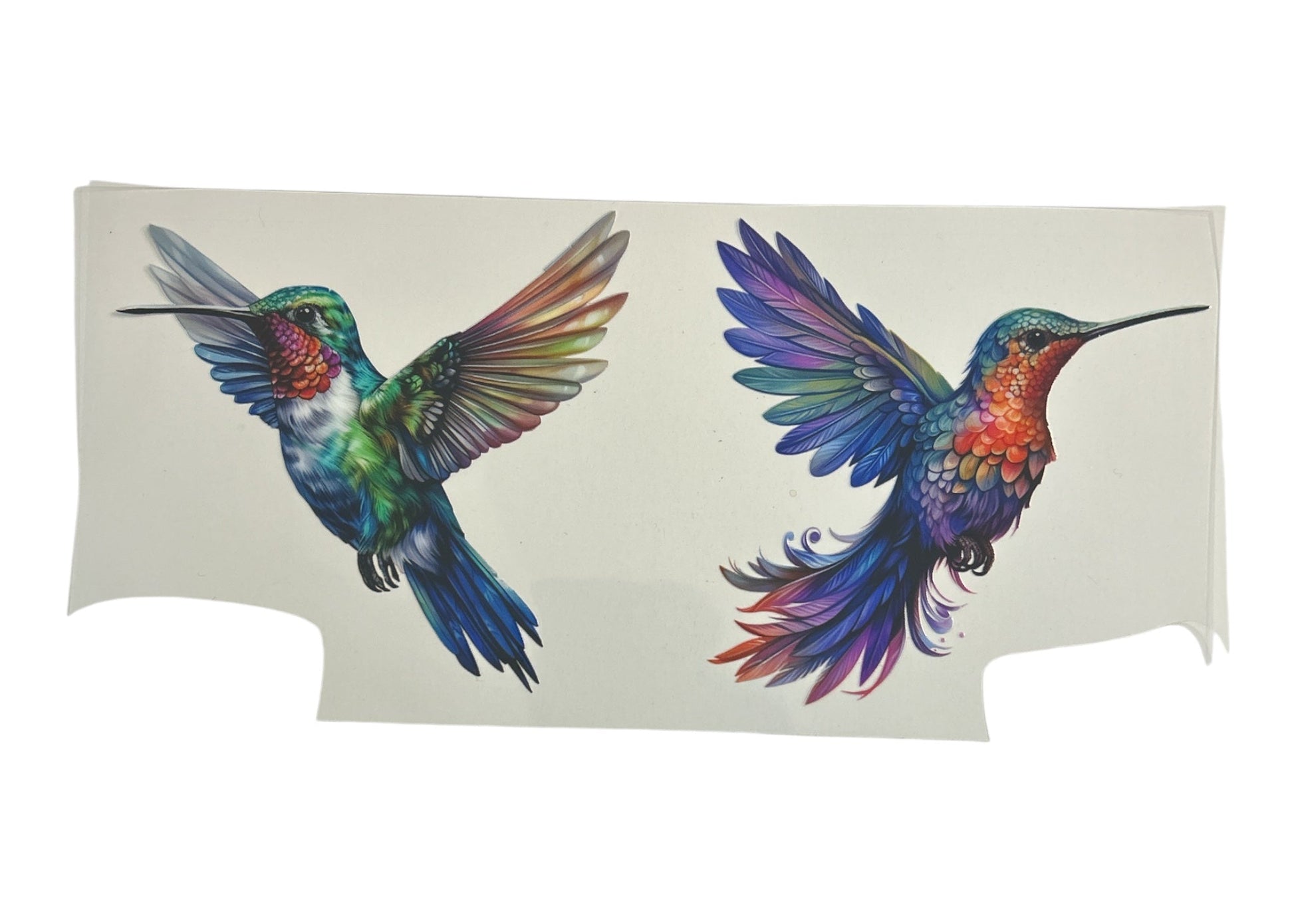 Two colorful hummingbird designs on a white background